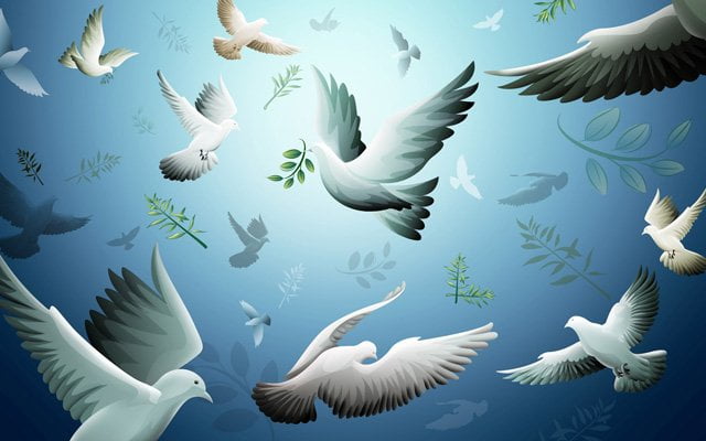 Barış kandilinizi tebrik ederiz