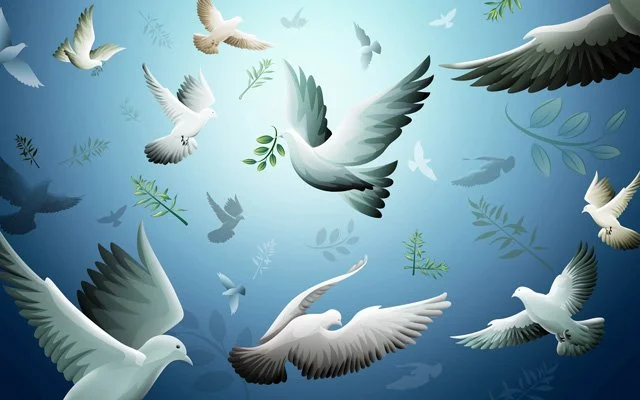 Barış kandilinizi tebrik ederiz