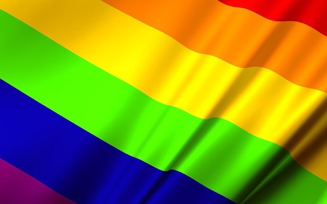 AB’ye Girmek İstemek Eşcinselliğe Onay Vermektir 1