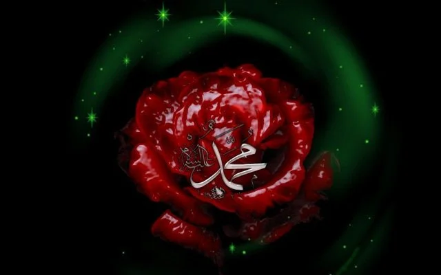 HAYAT ÖNDERİMİZ PEYGAMBERİMİZE KARŞI GÖREVLERİMİZ