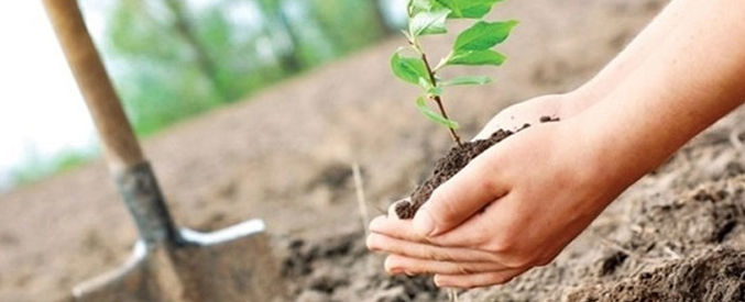Bütün Yeryüzü ve Tüm Doğal Çevre Biz İnsanlar İçin Yaratılmıştır 4