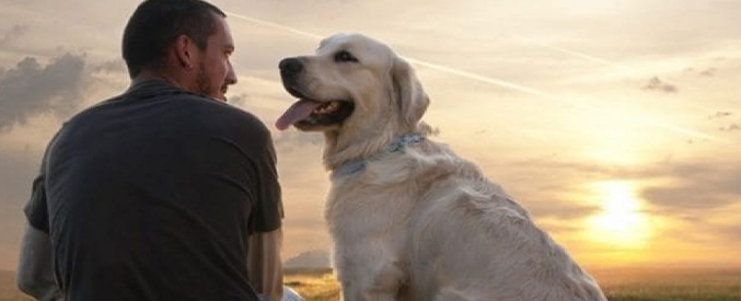 Hayvanlara Genel Bakışımız | 3