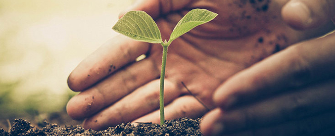 “Umut Nesli”nin İnşası İçin