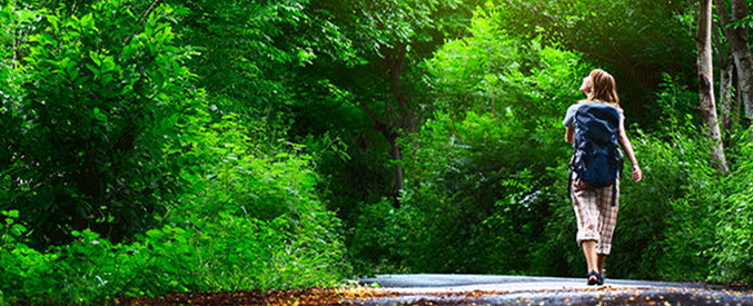 İnsanın İdolleşmesi ve Cinsi Yöneliş