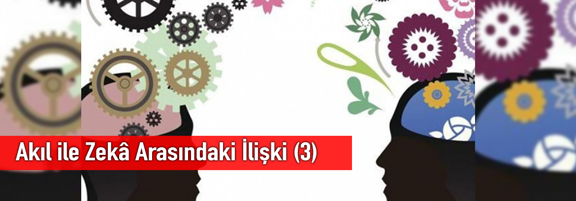 Akıl ile Zekâ Arasındaki İlişki (3)