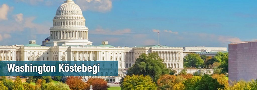 Washington Köstebeği