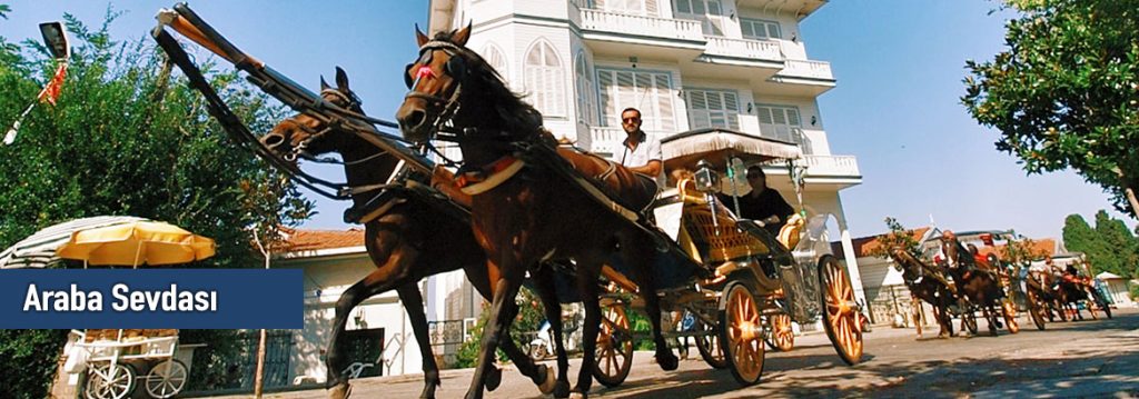 Araba Sevdası