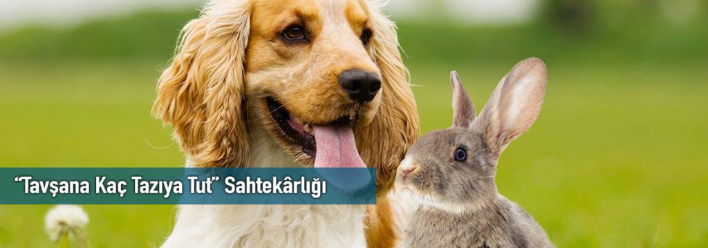 “Tavşana Kaç Tazıya Tut” Sahtekârlığı