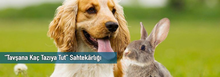“Tavşana Kaç Tazıya Tut” Sahtekârlığı