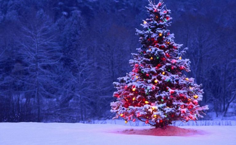 Siz de Noel Kutlayacak mısınız?