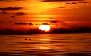 Şefaate Farklı Bir Bakış: Naklî ve Aklî Deliller