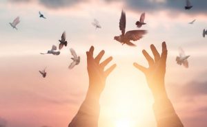 Hz Eyyüb Üzerinden Almamız Gereken Kur’ânî Mesajlar I