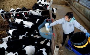 İsrail Filistin’e Tarım Ticaret Yasağını Kaldırdı