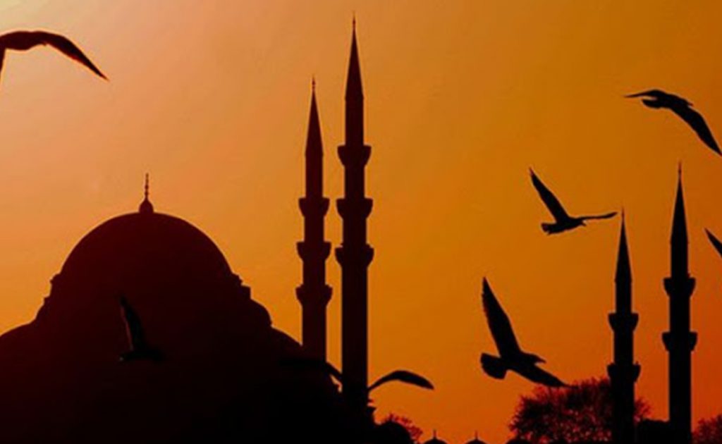 Recep, Evrensel Nitelikli Barış Ayıdır