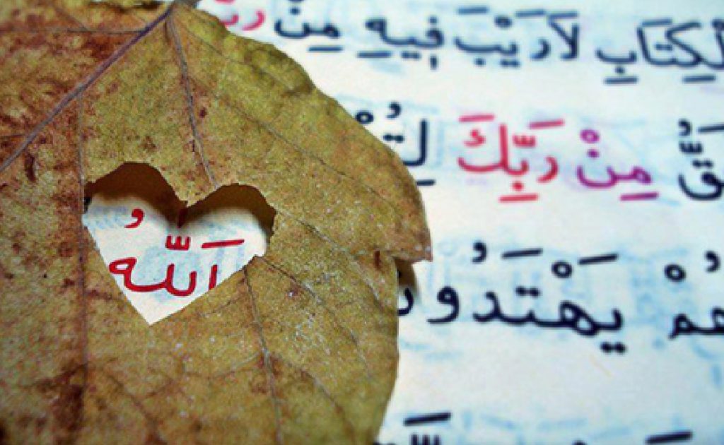 Bir Ârife Soralım: Gönül Eğitimi Nasıl Olur?