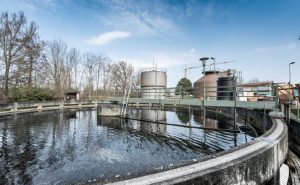 Korona Günleri: Salgının Matematiği