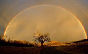 Tedbir ve Tevekkül Dengesini Nasıl Koruyabiliriz?