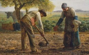 Bir Ârife Soralım: Maddî Kaygılara Karşı Kanaat Bir Çare midir?