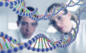 Gen Bilimi: İnsanlık 200 Bin Yıl Önce Yaşamış Çiftten Gelme