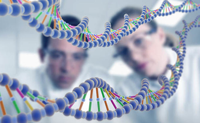 Gen Bilimi: İnsanlık 200 Bin Yıl Önce Yaşamış Çiftten Gelme