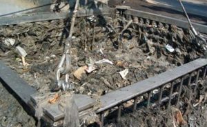 Korona Kabusu: Şehirlerin Kanalizasyonları Tıkanırsa