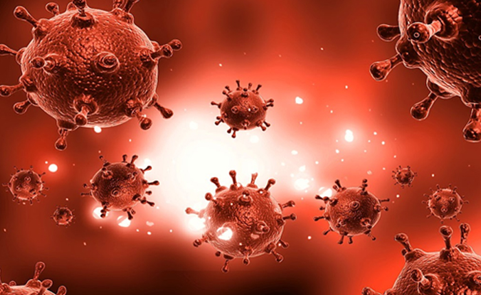 Bir Ârife Soralım: Neden Koronavirüse Mana-yı Harfî Gözüyle Bakmalıyız?