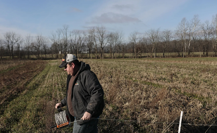 ABD’ye Musallat Yeni Bela: Sebepsiz Çiftçi İntiharları