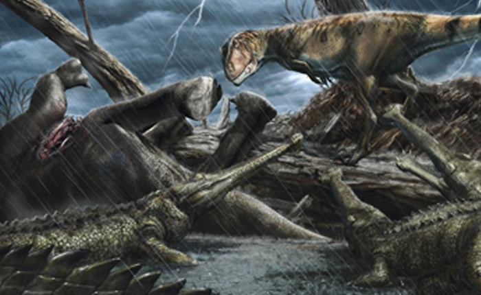 Dünyada En Korkunç Yer Fas’tı – Ama 100M Yıl Önce