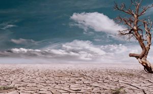 “İnsanlığın Geleceği Kurulu”: Yok Oluşumuz Yakın