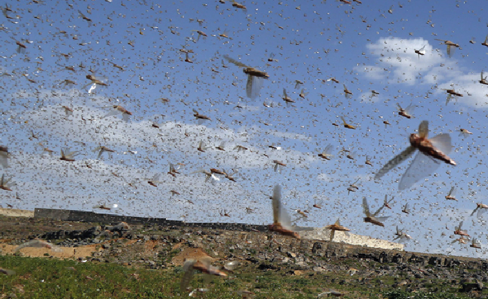 Dünya Bankasından Yemen’e “50 Milyon Yardım”