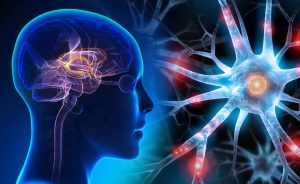 Beyinlerimiz Metan Gazı Doldu