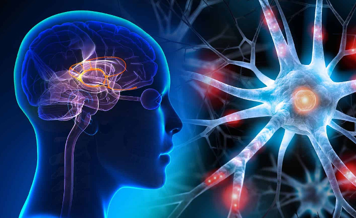 Beyinlerimiz Metan Gazı Doldu