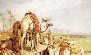 Peygamber Duasıyla Bereketli Bir Ömür Geçiren Sahabi: Hz. Enes Bin Mâlik (r.a.)