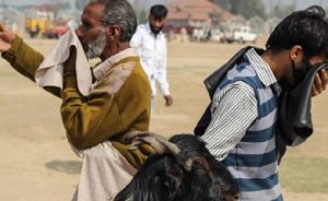 Hindu Baskısı Altında Müslümanların Buruk Bayramı