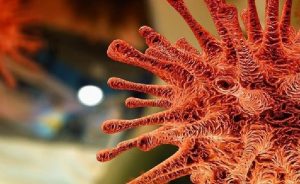 Sudan Çevrimiçi Koronavirüs Test Projesini Başlattı