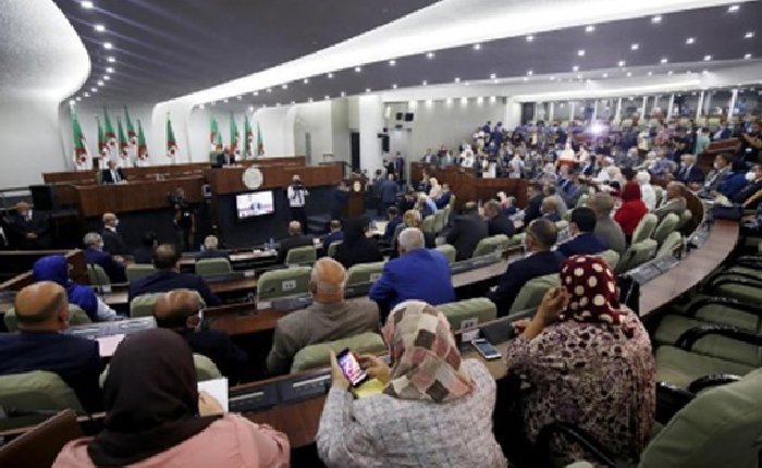 Cezayir: “Göstermelik” Anayasa Referandumu