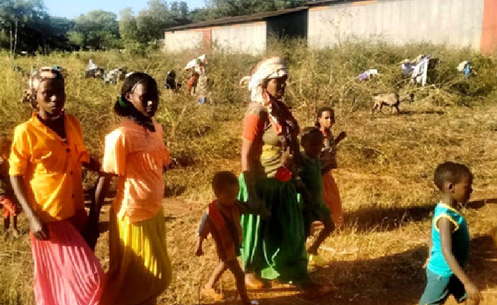 Etiyopya’da Devam Eden Saldırılarda Can Kayıpları