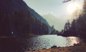 Yılanlar Bin Yıl mı Yaşasın?