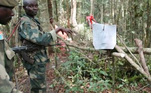 Demokratik Kongo’da ‘1300 İslamcı Mahkum Firari’