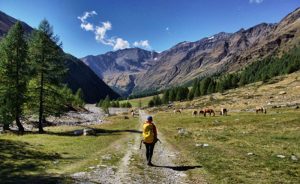 Doğruluğun ve Dürüstlüğün Hâkim Olduğu O Güzel Diyara Göç Etmek İsterdim, Ammâ…