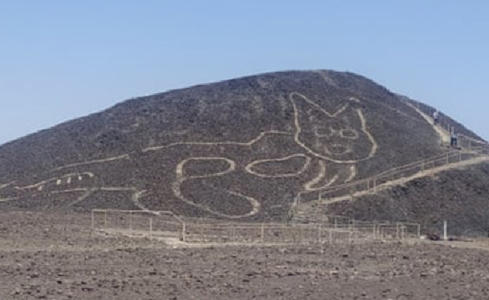 Peru’da Dağa Kazınmış Dev Kedi Resmi Bulundu