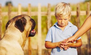 Bir de Psikoloğuma Sorayım: Çocuğum Köpek Fobisinden Nasıl Kurtulabilir?