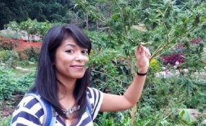 Tayland’ın Kenevir Devrimi