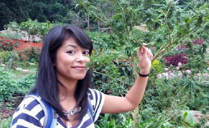 Tayland’ın Kenevir Devrimi