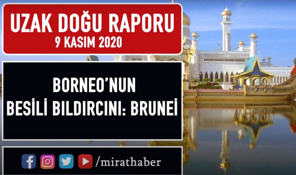 Borneo’nun Besili Bıldırcını: Brunei