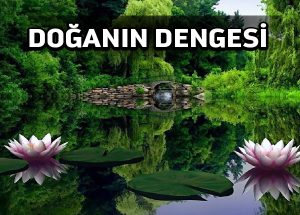 Doğa’nın dengesi mi, doğan’ın yengesi mi?