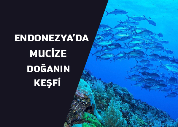 UNESCO Endonezya’daki 3 Biyosfer Rezervini Tanıdı