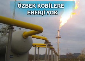 Özbek İşletmeler Kış Öncesi Doğal Gazdan Yoksun Bırakıldı