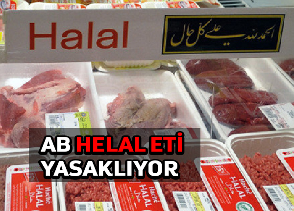 AB mahkemesi üye devletleri hayvanları kesim için bayıltmaya yöneltiyor