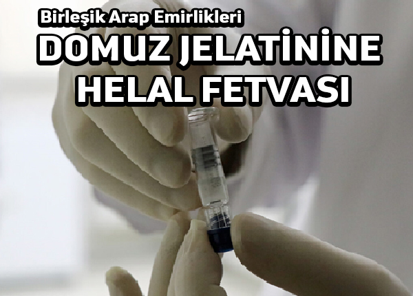 BAE domuz eti bile içerse Korona aşısına helaldir fetvası verdi